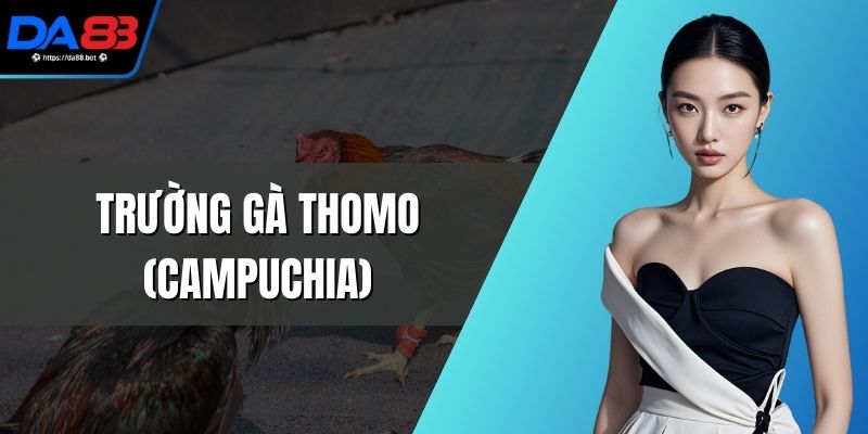 Trường Gà Thomo (Campuchia) - Điểm Chọi Hàng Đầu Châu Á